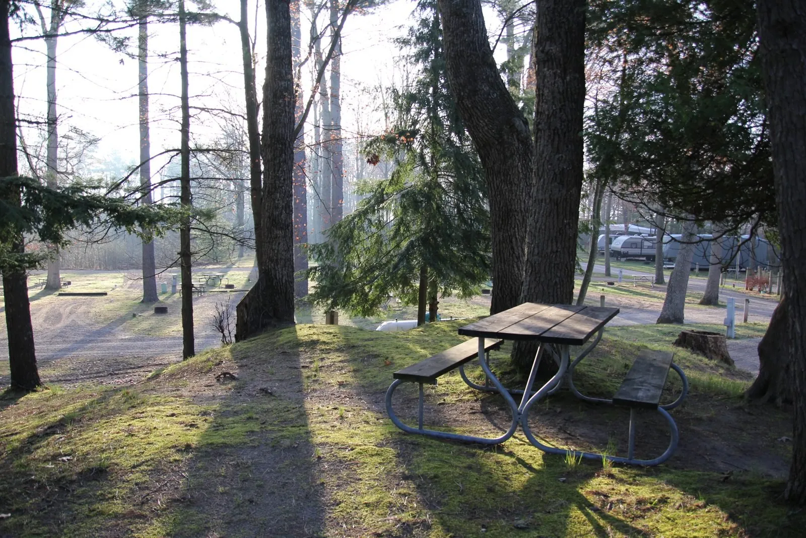 Picnic table under the trees on a misty morning