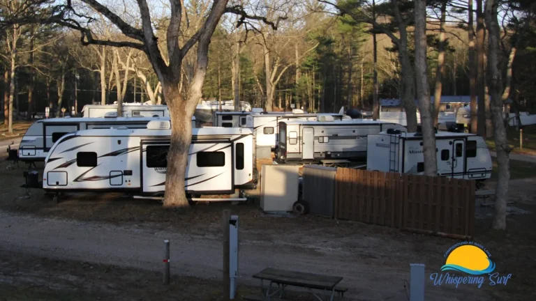 RVs parked on wooded campsites under tall oaks on opening day