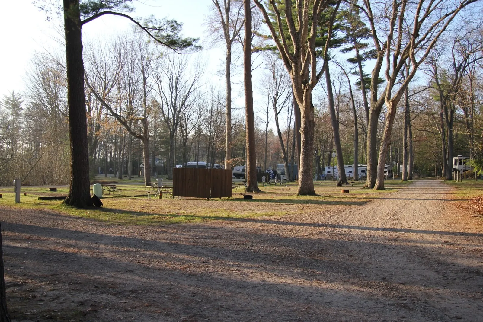 Wooded RV campsite with a gravel pad among tall trees