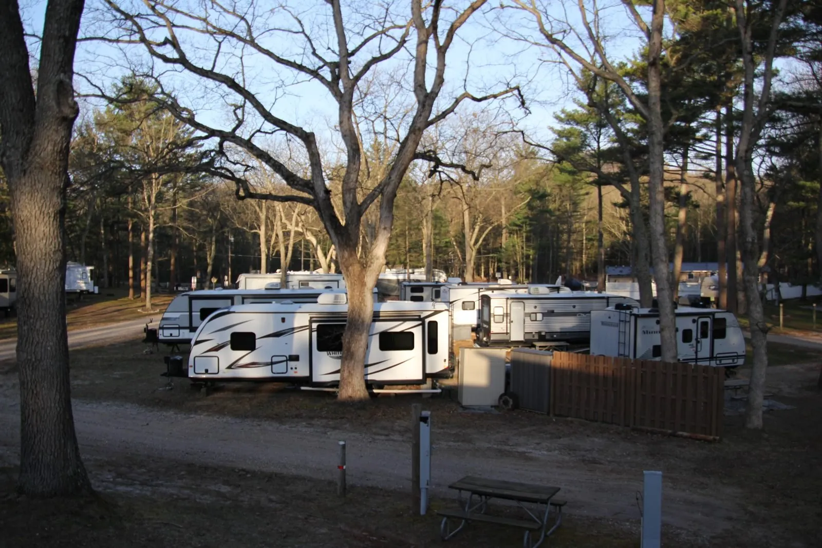 Row of RVs parked under large oak trees