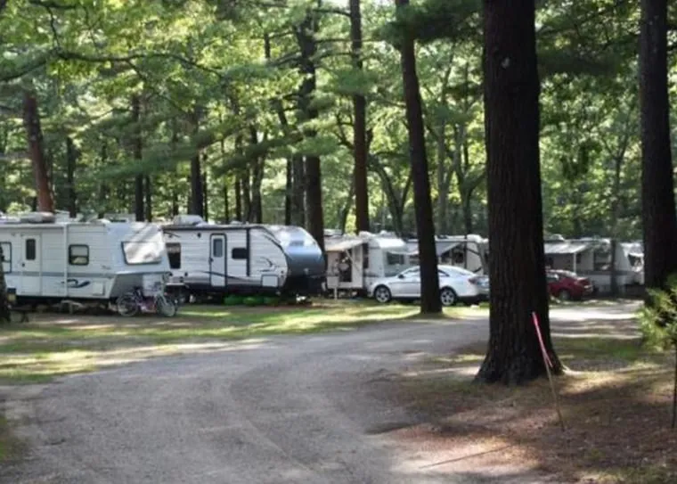 RV campsites along a shaded campground road