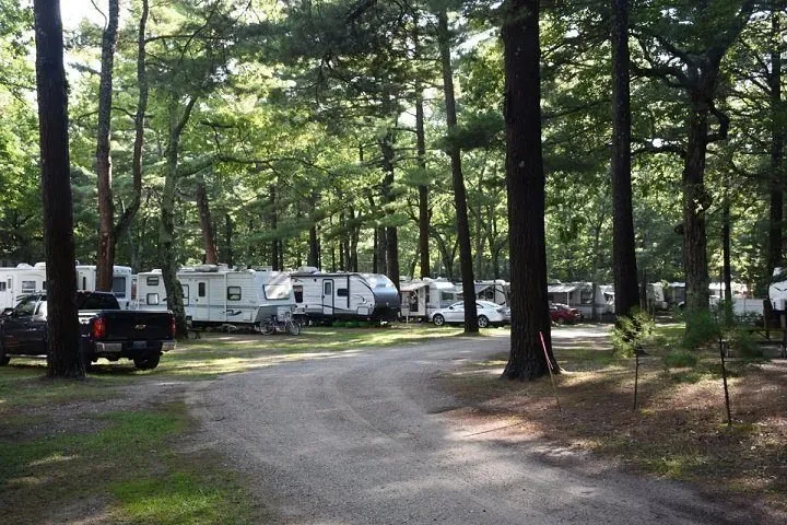 RVs and campers on wooded campsites