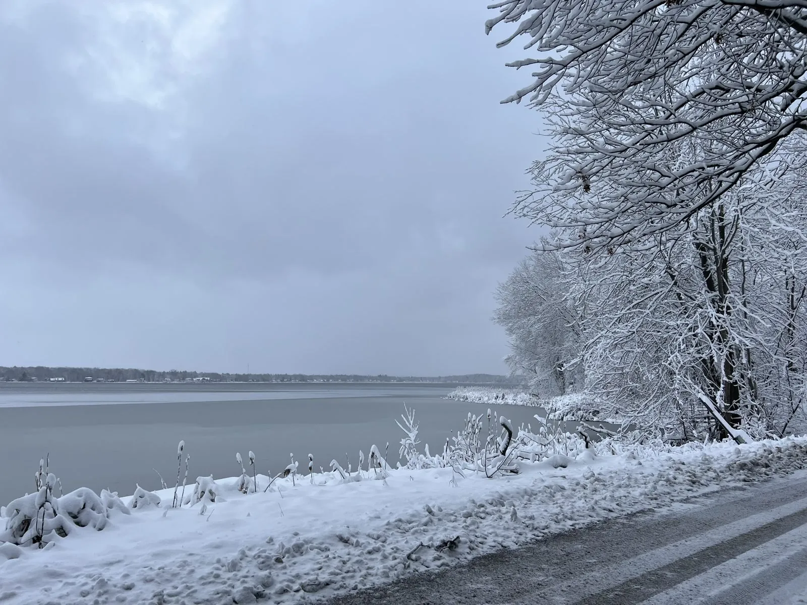 Snow-covered trees on the shore of Bass Lake in winter