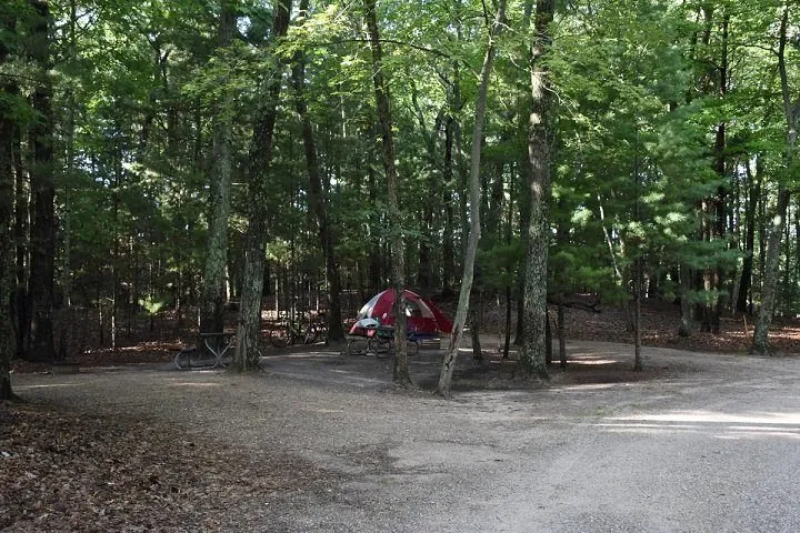 Tent campsite in a shady clearing in the woods