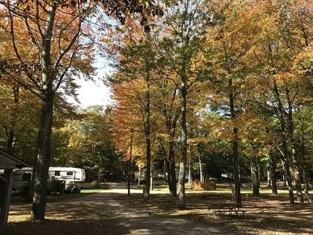 Wooded campsites in autumn color